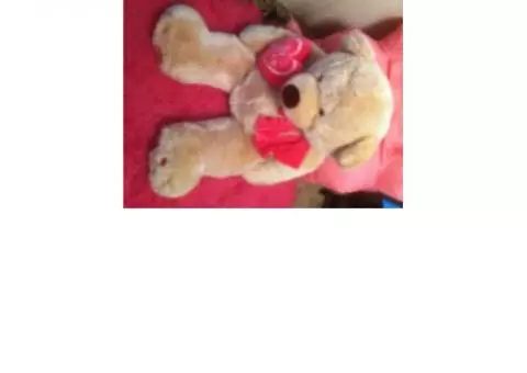 Valentines  stuff plush bear